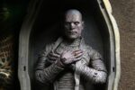 NECA - Universal Monsters Action Figure Ultimate The Mummy (Color) 18 cm - Image 2