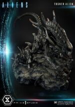 Prime 1 Studio - Aliens Premium Masterline Series Statue Tusked Alien Bonus Version (Dark Horse Comics) 72 cm - Image 7