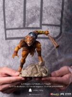 Iron Studios - ThunderCats BDS Art Scale Statue 1/10 Jackalman 16 cm - Image 5