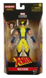 Hasbro - X-Men Marvel Legends Series Action Figure 2022 Wolverine 15 cm - Image 2