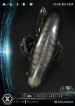 Prime 1 Studios - Alien Statue 1/3 Alien Big Chap Deluxe Limited Version 79 cm - Image 10