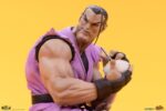 PCS - Street Fighter PVC Statues 1/10 Ryu & Dan 18 cm - Image 4