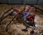 NECA - The Thing Action Figure Thing Dog Creature Ultimate Deluxe 18 cm