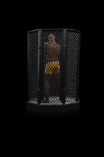 Iron Studios - UFC Deluxe Art Scale Statue 1/10 Anderson "Spider" Silva - Signed Version 22 cm - Image 4