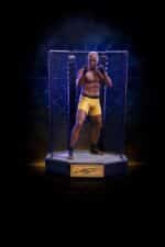Iron Studios - UFC Deluxe Art Scale Statue 1/10 Anderson "Spider" Silva - Signed Version 22 cm