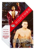 Mattel - WWE Ultimate Edition Action Figure Gunther 15 cm - Image 2