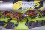 Teenage Mutant Ninja Turtles Diorama Statue 1/1 Origins 13 cm - Image 5