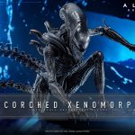 Alien: Romulus Movie Masterpiece Action Figure 1/6 Scorched Xenomorph 44 cm