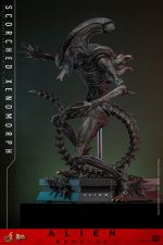 Alien: Romulus Movie Masterpiece Action Figure 1/6 Scorched Xenomorph 44 cm - Image 5