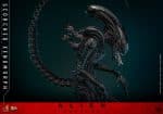 Alien: Romulus Movie Masterpiece Action Figure 1/6 Scorched Xenomorph 44 cm - Image 7