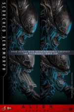 Alien: Romulus Movie Masterpiece Action Figure 1/6 Scorched Xenomorph 44 cm - Image 8