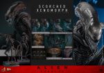 Alien: Romulus Movie Masterpiece Action Figure 1/6 Scorched Xenomorph 44 cm - Image 10