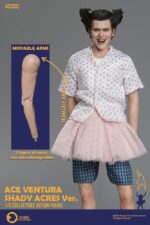 Ace Ventura: Pet Detective Action Figure 1/6 Ace Ventura Shady Acres Version 30 cm - Image 3