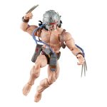 X-Men Marvel Legends Action Figure Wolverine (Weapon X) 15 cm - Image 2