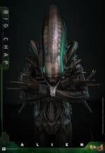 Alien Movie Masterpiece Action Figure 1/6 Big Chap 36 cm - Image 2