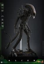 Alien Movie Masterpiece Action Figure 1/6 Big Chap 36 cm - Image 4