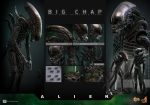 Alien Movie Masterpiece Action Figure 1/6 Big Chap 36 cm - Image 5