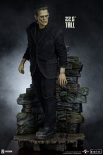 Frankenstein Premium Format Mixed Media Statue Frankenstein (Fabric Costume) 57 cm - Image 4