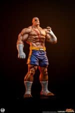 Street Fighter Street Jam Statuen 1/10 Sagat & Juli 24 cm - Image 3