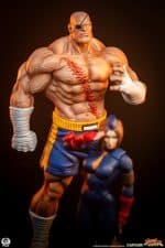 Street Fighter Street Jam Statuen 1/10 Sagat & Juli 24 cm - Image 2
